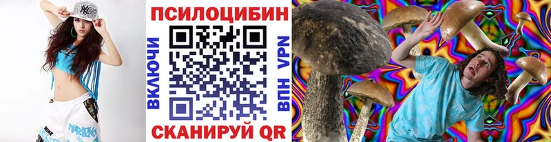 Галлюциногенные грибы Psilocybine cubensis  купить наркоту  Баксан 