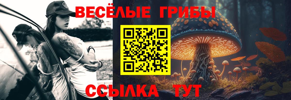 Баксан  Галлюциногенные грибы мухоморы  Вход с VPN 