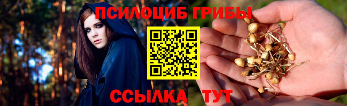 Псилоцибиновые грибы прущие грибы Баксан